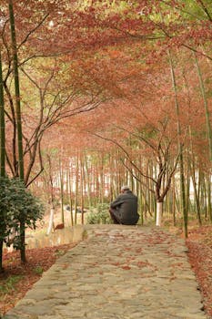 克林顿称特朗普曾提及与爱泼斯坦“有过美好时光”