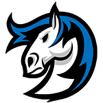  灰熊8人上双124-105独行侠，斯宾塞25分，小皮蓬15分 新闻