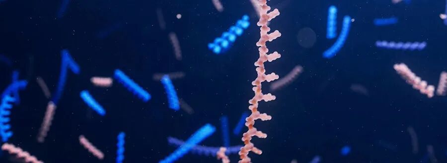 全球10多款寡核苷酸在研新药迈入3期临床！这些罕见病患者有望迎新曙光