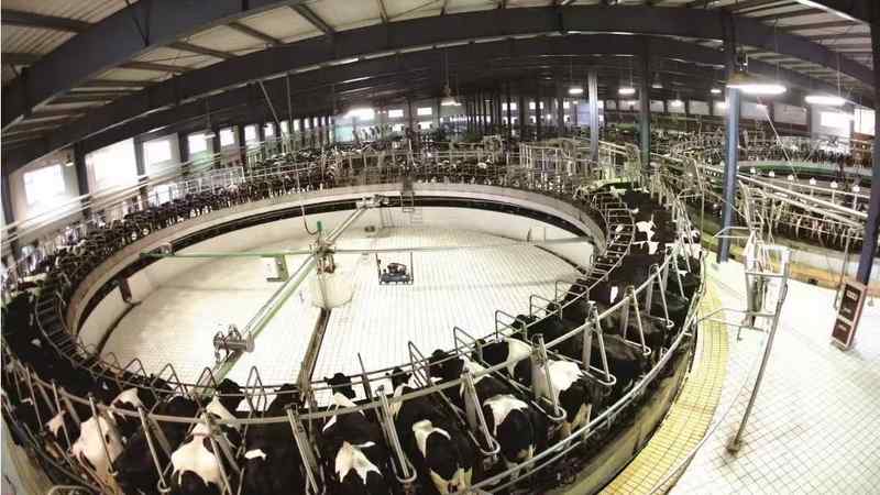  破解乳业同质化困局：精准营养与场景化转型的底层逻辑与实证分析 新闻 破解乳业同质化困局：精准营养与场景化转型的底层逻辑与实证分析 新闻