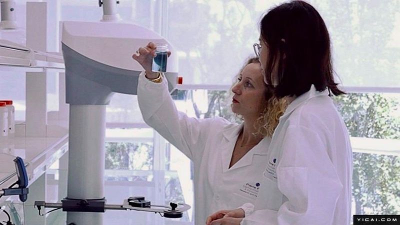  政策预期管理：跨国资本在沪深耕的战略红利 企业服务