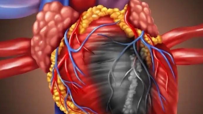  猝死阴影笼罩：AED普及困境背后的社会急救短板反思 新闻 猝死阴影笼罩：AED普及困境背后的社会急救短板反思 新闻 猝死阴影笼罩：AED普及困境背后的社会急救短板反思 新闻