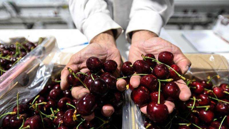  被“美颜”后的生鲜欺骗了味蕾？重构透明消费的信任边界 新闻 被“美颜”后的生鲜欺骗了味蕾？重构透明消费的信任边界 新闻