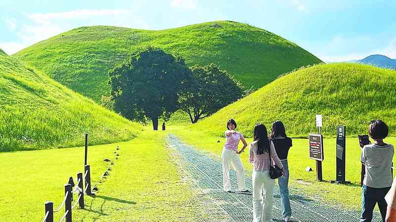 当年轻人开始在墓地里寻找"松弛感"：庆州大陵苑的治愈哲学