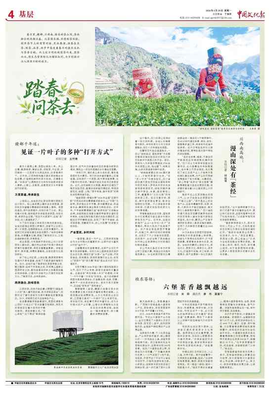 技术解码川茶产业:海拔1700米生态密码与非遗工艺的深度博弈 文化旅游