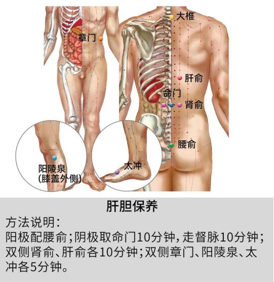  从中医经络视角解析白发分布：身体发出的健康警报与系统调理方案 健康养生