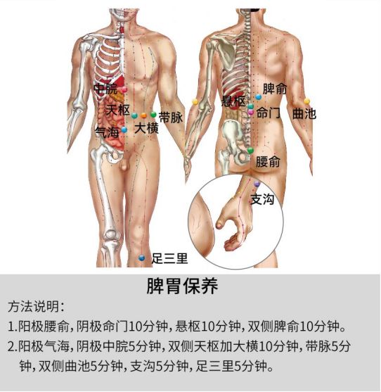  从中医经络视角解析白发分布：身体发出的健康警报与系统调理方案 健康养生
