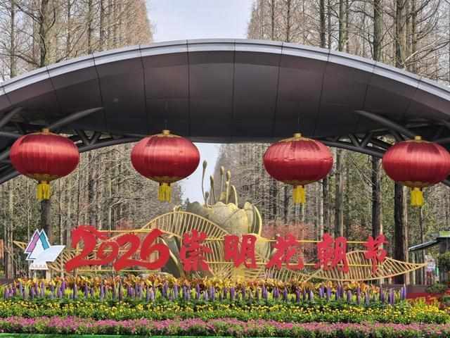 崇明花朝节深度解构:东平国家森林公园赏花数据与沉浸式体验完全手册 文化旅游
