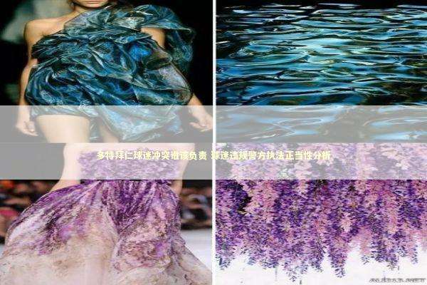 多特拜仁球迷冲突谁该负责 球迷违规警方执法正当性分析 新闻