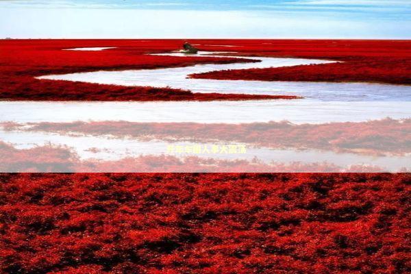 开年车圈人事大震荡