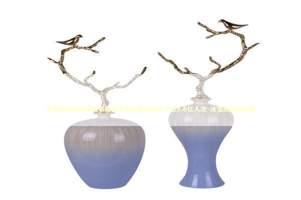 中国旅游研究院发布报告冰雪旅游休闲预计达3.6亿人次-冰雪旅游叙事型 新闻