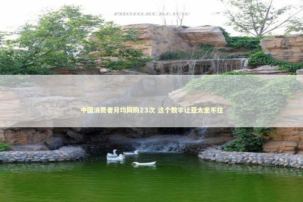 中国消费者月均网购23次 这个数字让亚太坐不住 新闻