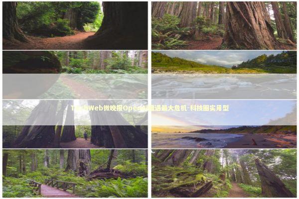 TechWeb微晚报OpenAI遭遇最大危机-科技圈实用型 新闻