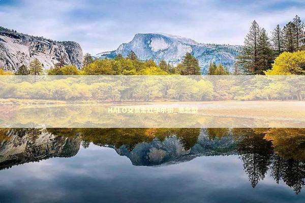 HALO交易走红华尔街_悬念型 新闻