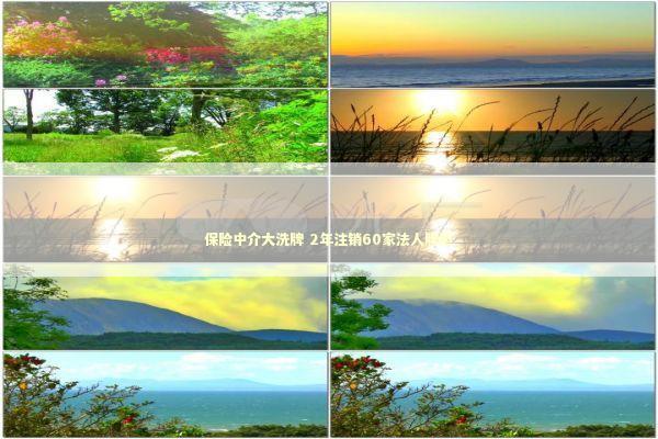 保险中介大洗牌 2年注销60家法人牌照