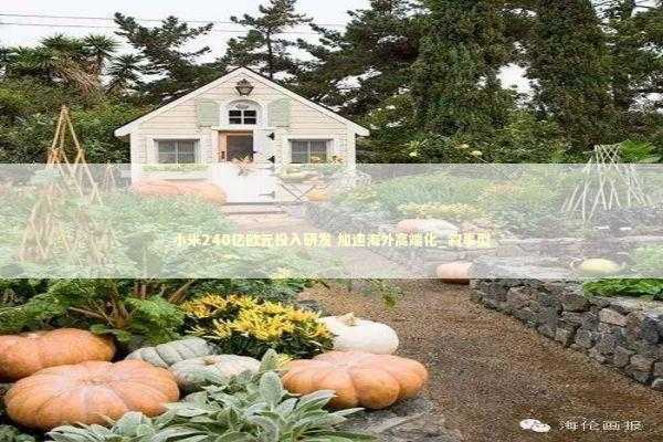 小米240亿欧元投入研发 加速海外高端化_叙事型 新闻