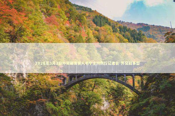 2026年3月3日外交部发言人毛宁主持例行记者会-外交叙事型