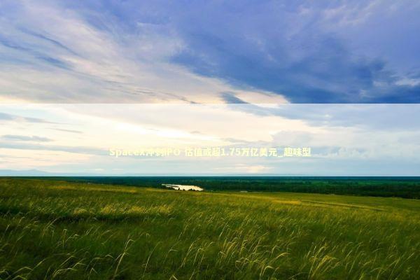 SpaceX冲刺IPO 估值或超1.75万亿美元_趣味型 新闻