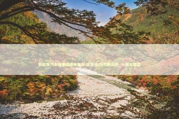 新能源汽车销量成绩单发布 比亚迪19万辆领跑_小题大做型 新闻