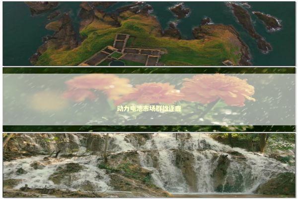 动力电池市场群雄逐鹿