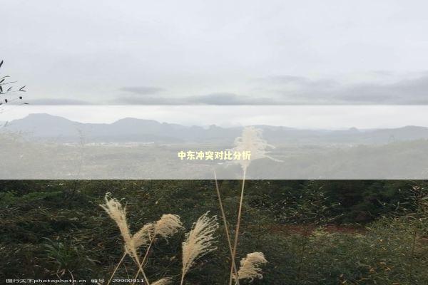 中东冲突对比分析 新闻