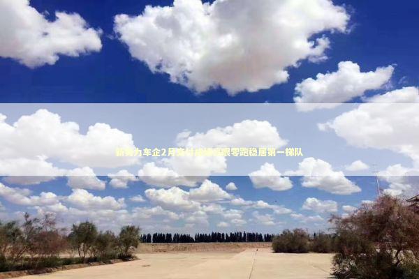 新势力车企2月交付成绩亮眼零跑稳居第一梯队 新闻