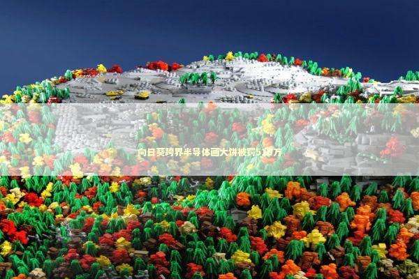 向日葵跨界半导体画大饼被罚510万 新闻