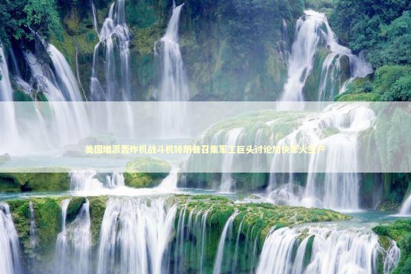 美国增派轰炸机战斗机特朗普召集军工巨头讨论加快军火生产 新闻