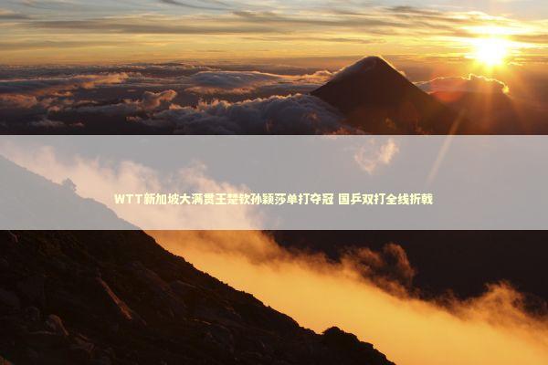 WTT新加坡大满贯王楚钦孙颖莎单打夺冠 国乒双打全线折戟 新闻