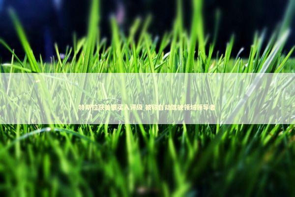 特斯拉获美银买入评级 被称自动驾驶领域领导者 新闻