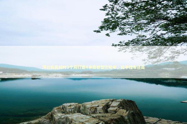 河北农民耗时3个月打造4米高巨型三轮车，比半挂车还高 新闻