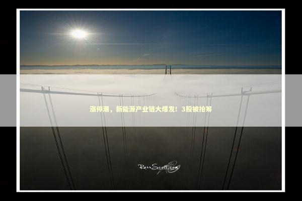 涨停潮，新能源产业链大爆发！3股被抢筹 新闻