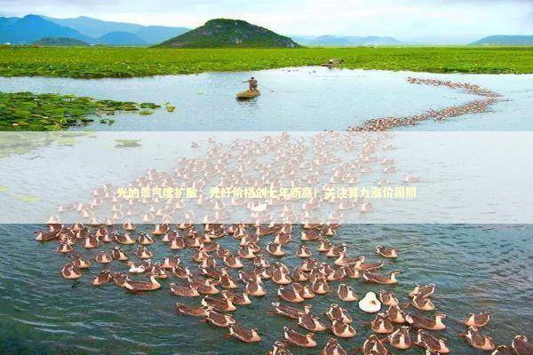 光的景气度扩散，光纤价格创七年新高！关注算力涨价周期 新闻