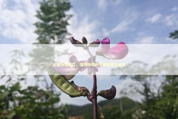 公园为鸟熄灯，值得珍视的生态远见与自觉 新闻