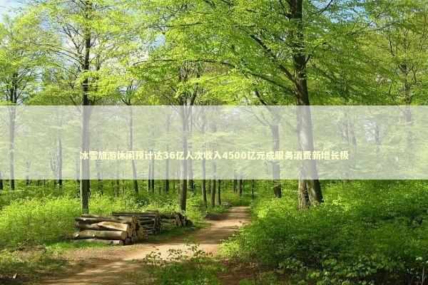 冰雪旅游休闲预计达36亿人次收入4500亿元成服务消费新增长极 新闻