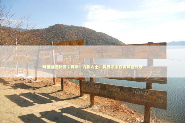 阿里回应林俊旸离职！内部人士：其离职系权责调整分歧