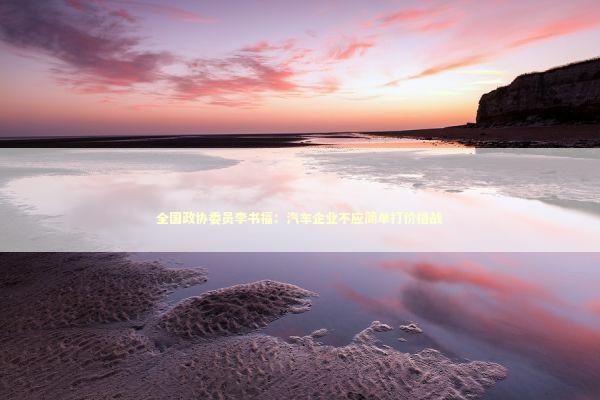 全国政协委员李书福：汽车企业不应简单打价格战 新闻