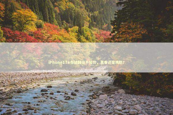 iPhone17e存储翻倍不加价，真香还是鸡肋？ 新闻