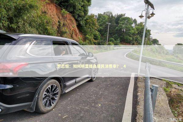 罗志恒：如何明显提高居民消费率？_4