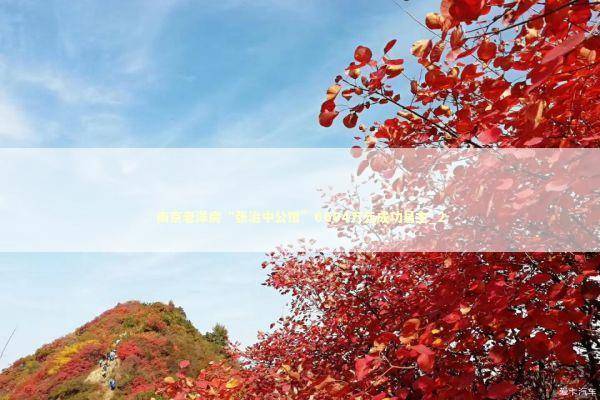 南京老洋房“张治中公馆”6604万元成功易主_2 新闻