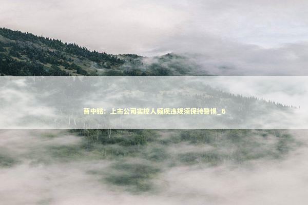 曹中铭：上市公司实控人频现违规须保持警惕_6 新闻