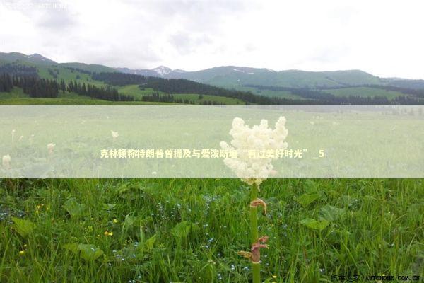 克林顿称特朗普曾提及与爱泼斯坦“有过美好时光”_5