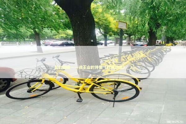 盐的隐喻——读王山的诗集《时间的盐》_2 新闻