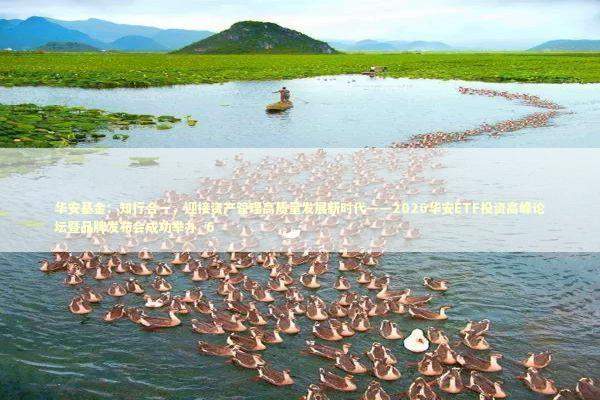 华安基金：知行合一，迎接资产管理高质量发展新时代——2026华安ETF投资高峰论坛暨品牌发布会成功举办_6