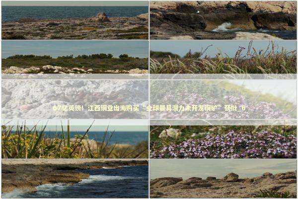 67亿英镑！江西铜业出海购买“全球最具潜力未开发铜矿”获批_6