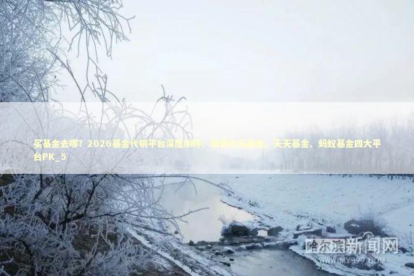 买基金去哪？2026基金代销平台深度测评：新浪仓石基金、天天基金、蚂蚁基金四大平台PK_5 新闻