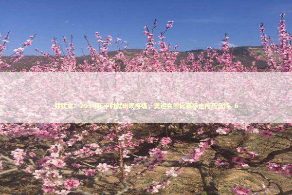 郑钦文：2024年手肘就出现疼痛，奥运会等比赛靠止疼药坚持_6 新闻