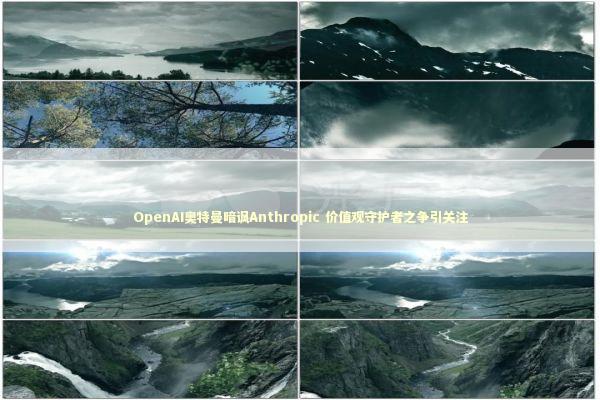 OpenAI奥特曼暗讽Anthropic 价值观守护者之争引关注 新闻