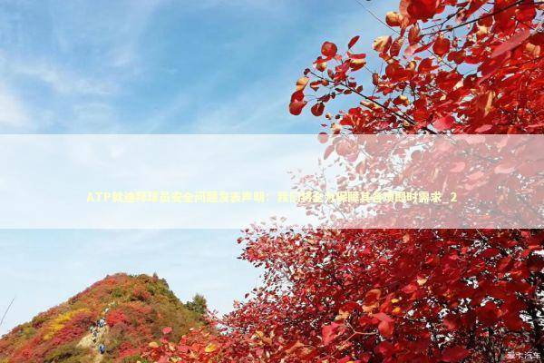 ATP就迪拜球员安全问题发表声明：我们将全力保障其各项即时需求_2