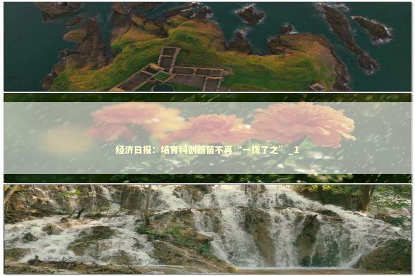 经济日报：培育科创新苗不再“一拨了之”_1 新闻